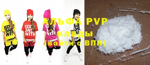 ECSTASY Болотное