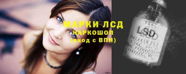 мескалин Ельня