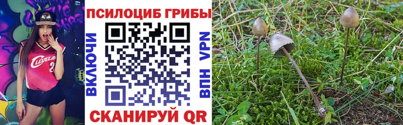 Галлюциногенные грибы Psilocybe  кракен ONION  Зеленокумск  где продают  