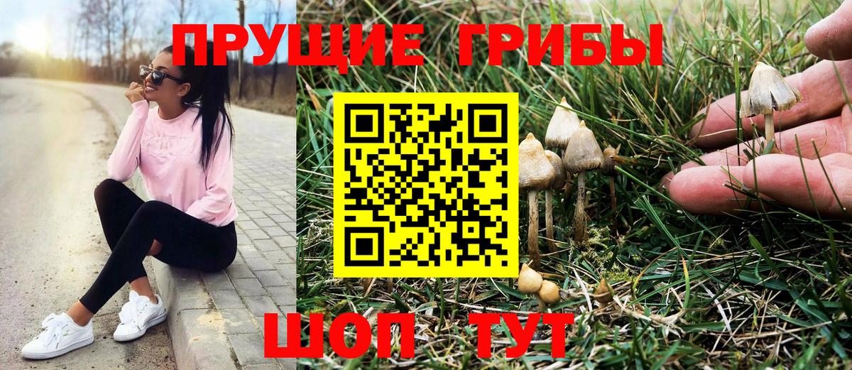 Псилоцибиновые грибы Cubensis Зеленокумск